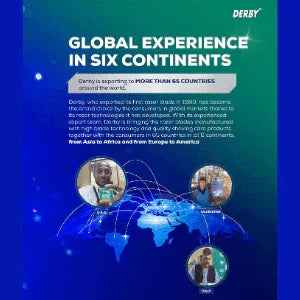 Derby Double Edge Razor Blades 100Ct