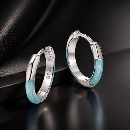 925 Sterling Silver Enamel Plated White Gold Earrings 1.2cm for Women  DestGlow