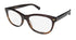 Bobbi brown the gabby eyeglasses  DestGlow