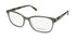 Vera Wang V515 Eyeglasses