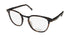 Oga 10076o Eyeglasses by ModaFrames