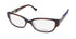 Kensie shine eyeglasses  DestGlow