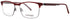 Nomad-Morel 40014n Eyeglasses by ModaFrames