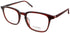 Nomad-Morel 40124n Eyeglasses by ModaFrames