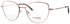 Nomad-Morel 40159n Eyeglasses by ModaFrames