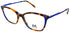 Nomad-Morel 40232n Eyeglasses by ModaFrames