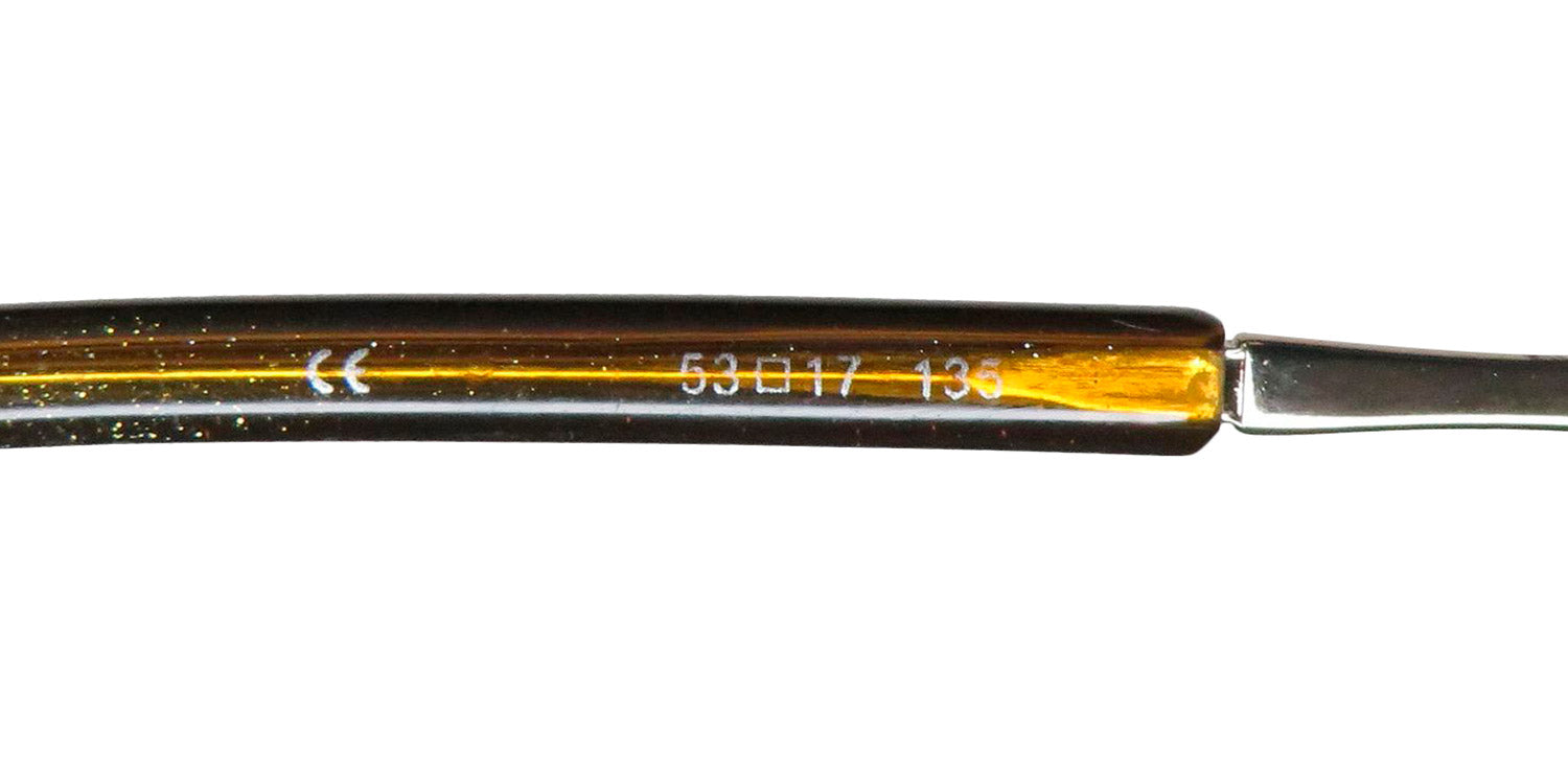 Platinum 421 Eyeglasses by ModaFrames