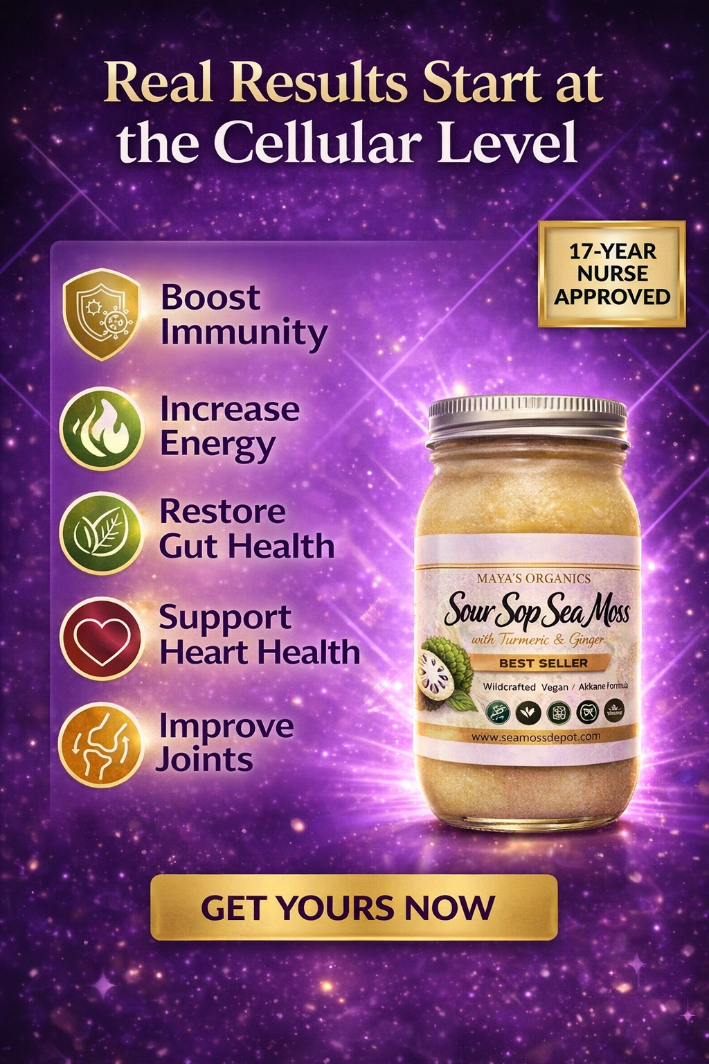 Soursop Sea Moss Gel | Organic Superfood Blend Boost Immunity &amp; Detox Naturally by Seamoss depot