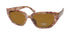 Bebe Bbop1004 Sunglasses by ModaFrames