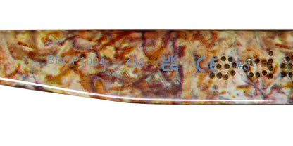 Bebe Bbop1004 Sunglasses by ModaFrames