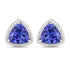 4.24 Carat Genuine Tanzanite 14K White Gold Earrings by Bids.com