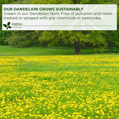 Dandelion Root Tea Bags, 100% Natural &amp; Pure from Dandelion Root, Eco-Conscious Tea Bags, Dandelion Root Herbal Tea. Dandelion Root Tea. No Sugar, No Caffeine, No Gluten, Vegan.