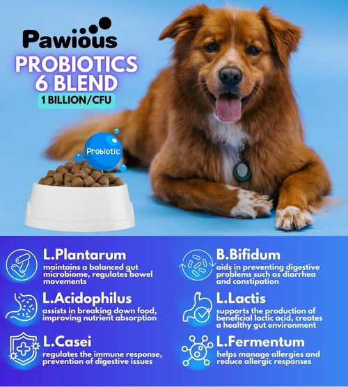 Probiotics for Dogs - Digestive Enzymes & Gut Flora Support for Digestive Health
