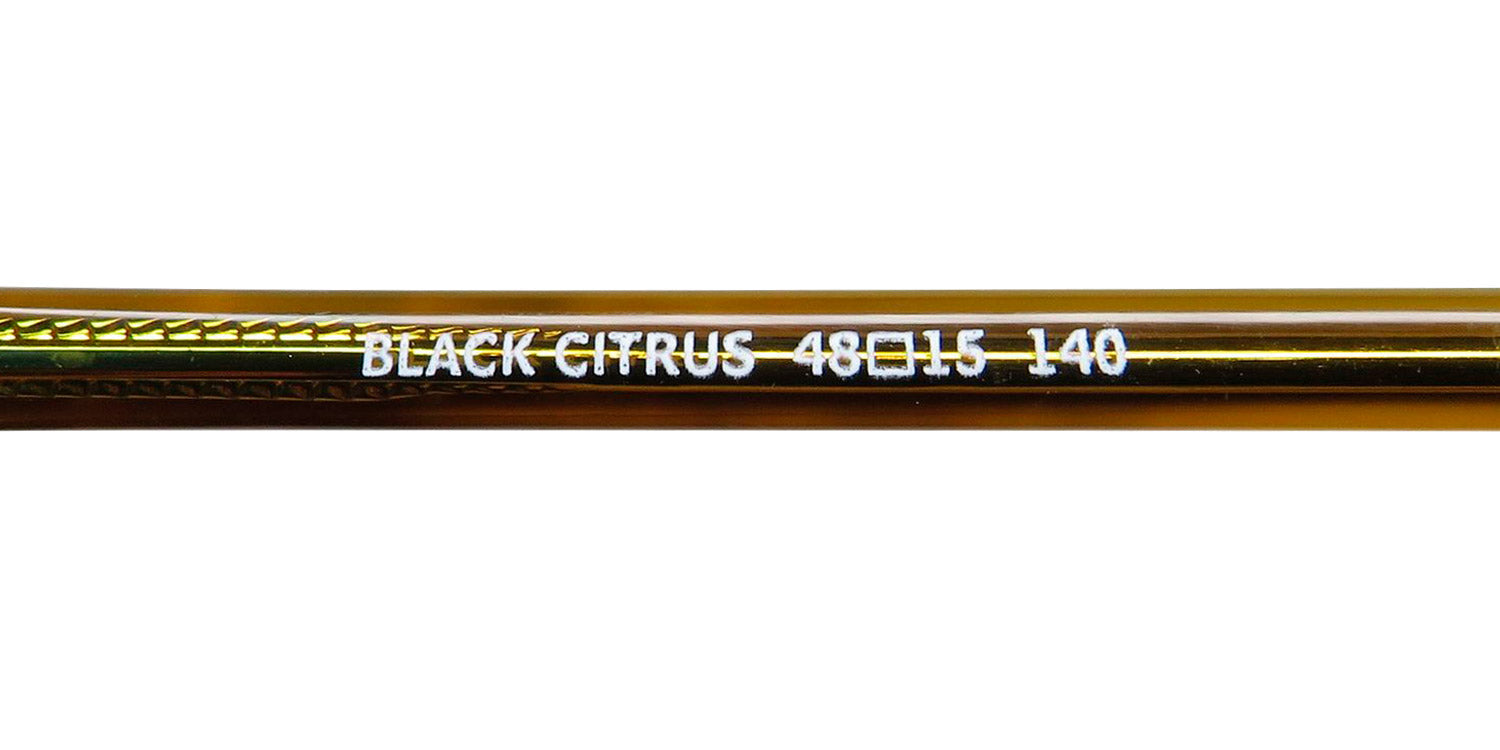 SmartClip 907 Eyeglasses - DestGlow