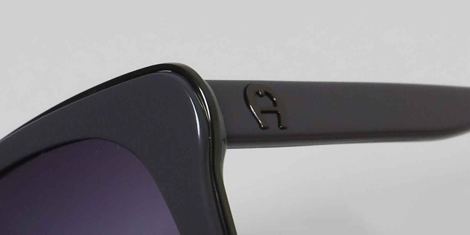 Aigner 35032 Sunglasses