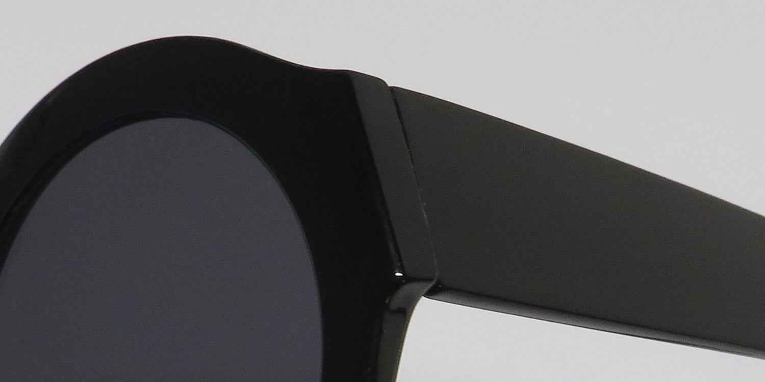 Sean John Sjs2012ce Sunglasses