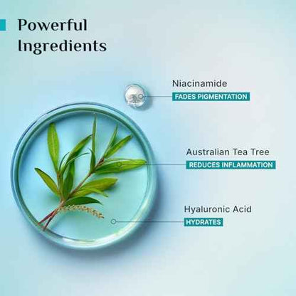 Pilgrim Tea Tree &amp; 2% Niacinamide Face Toner For Oily Skin, Acne &amp; Blemish Prone Skin, Pore Cleansing &amp; Glowing Skin