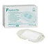 Tegaderm Transparent Adhesive Film Dressing Frame Style 6" x 8" - 1ct by Pasteur Pharmacy
