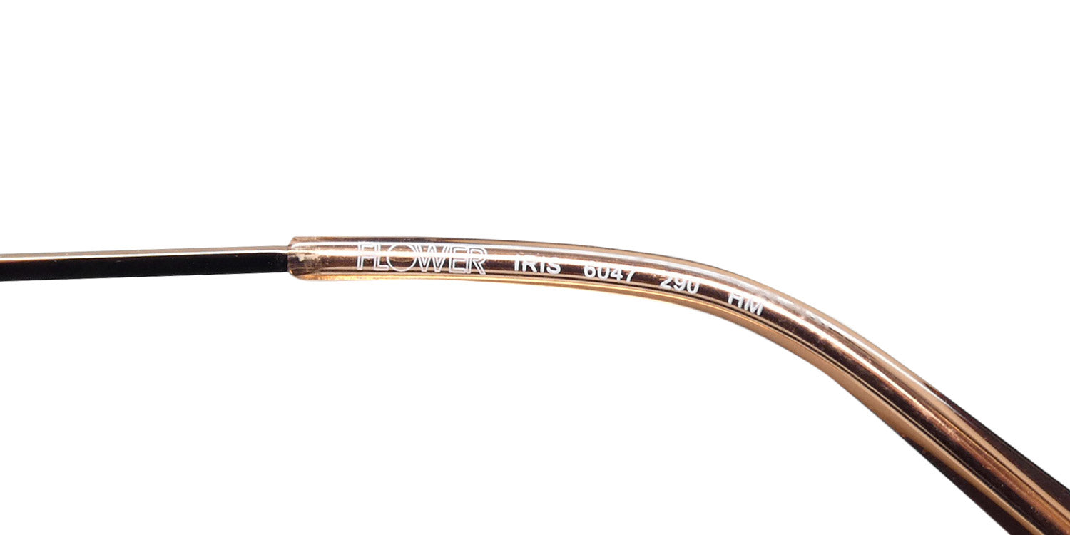 Flower 6047 iris eyeglasses 