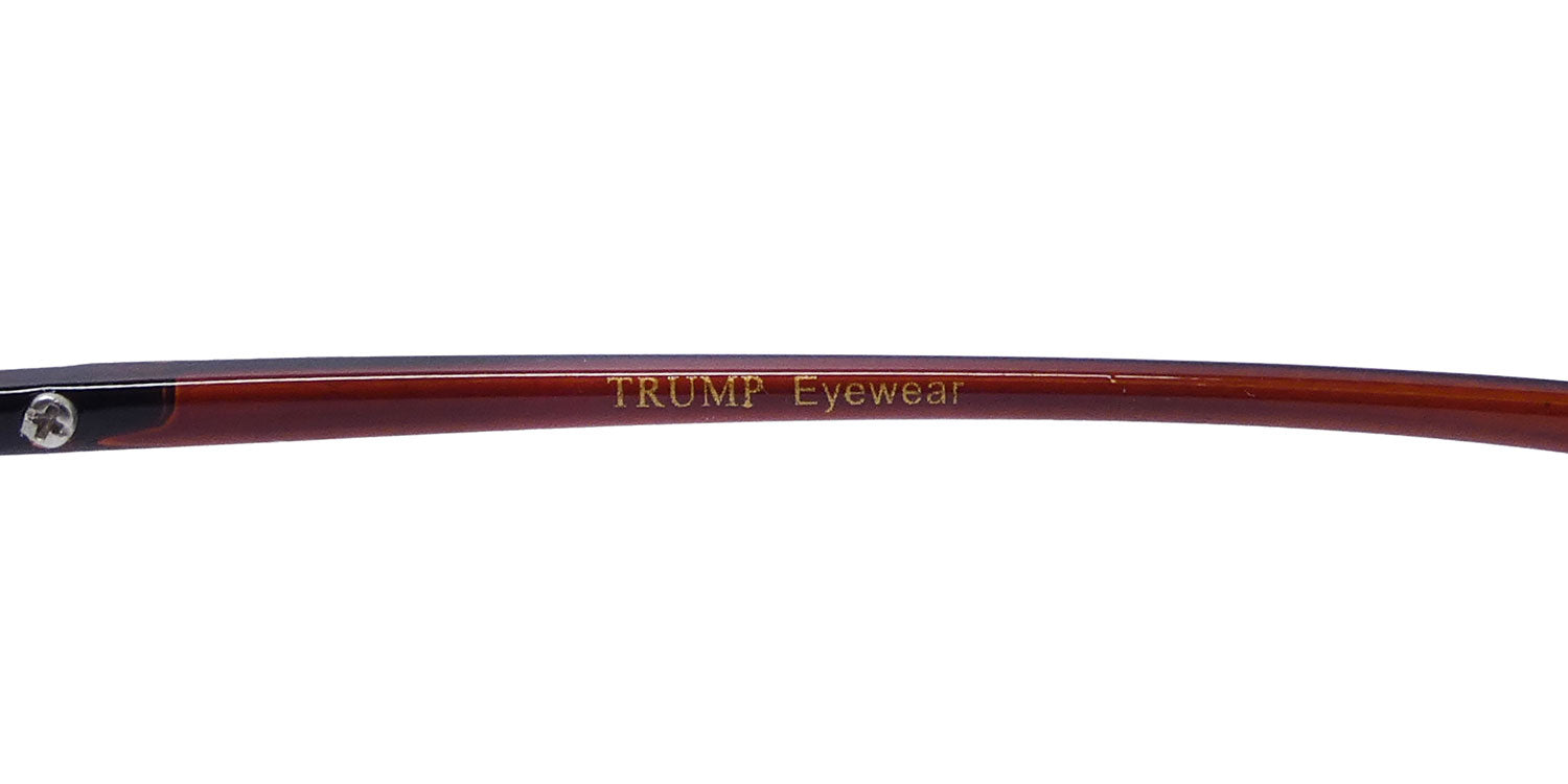 Donald Trump Dtr06 Readers by ModaFrames
