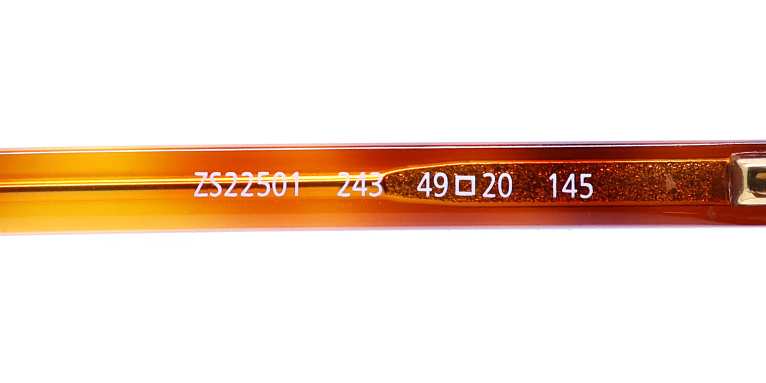 Zeiss Zs22501 Eyeglasses by ModaFrames