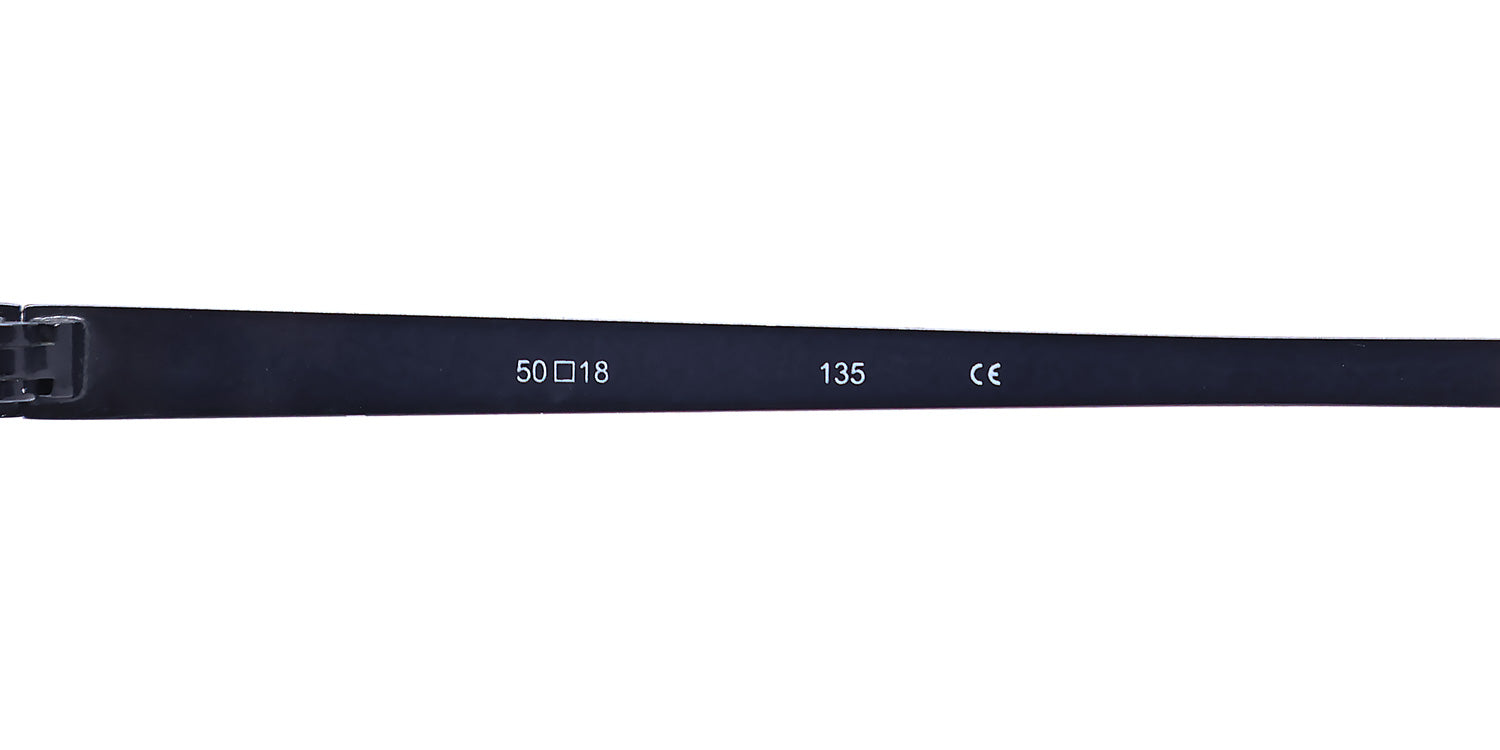 TiFlex 2101 Eyeglasses by ModaFrames