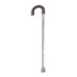 Graham Field Canes Cane Adjustable Round Handle Sliver by Pasteur Pharmacy