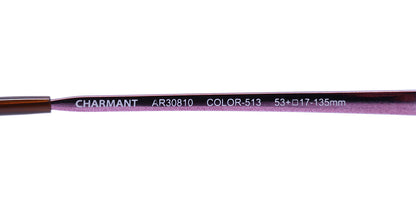 Aristar 30810 Eyeglasses  DestGlow