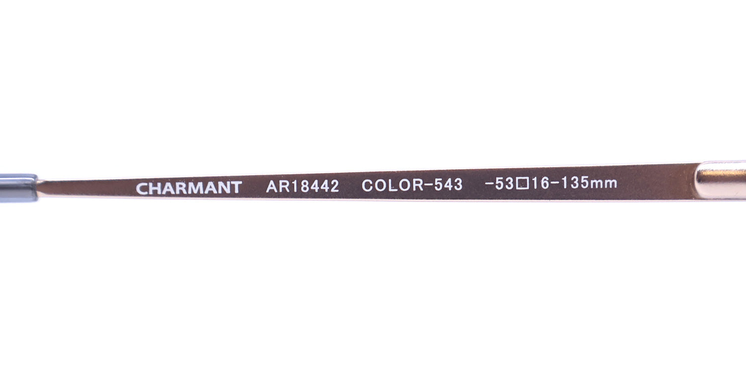 Aristar 18442 Eyeglasses  DestGlow