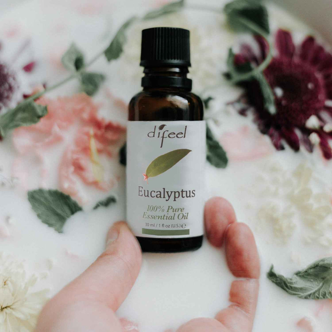 Difeel Essential Oils 100% Pure Eucalyptus Oil 1 Ounce