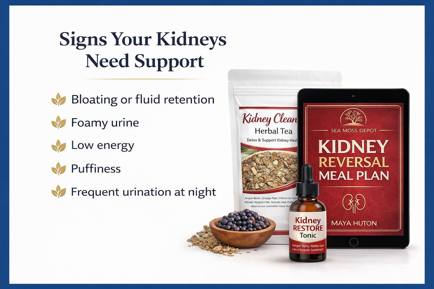Reclaim Your Kidneys Bundle – Kidney Disease Naturally (Stages 1-5) and Diabetes by Seamoss depot