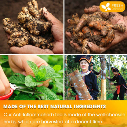 Anti-Inflammaheb Loose Leaf Tea, 100% Natural from Ginger, Turmeric, Peppermint, Black Pepper, Cinnamon