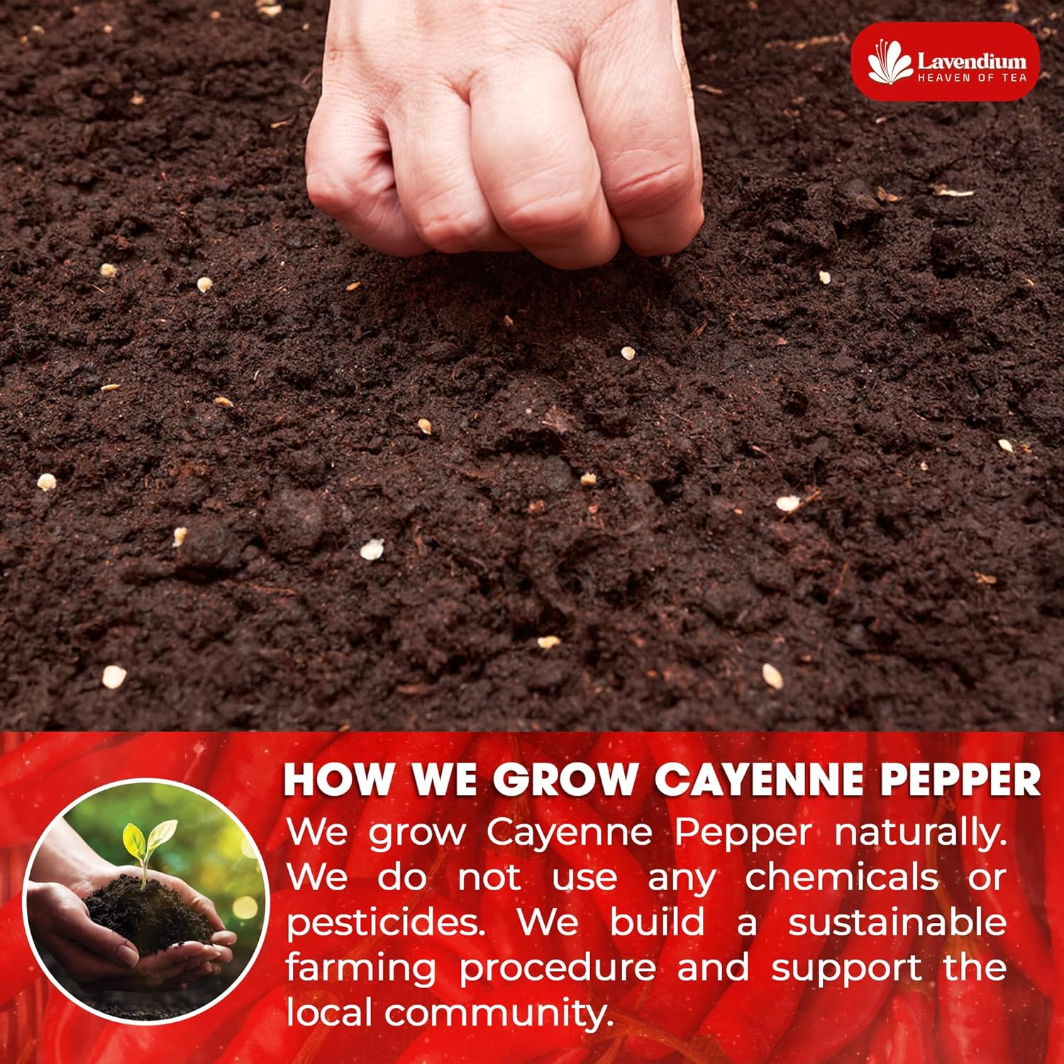Premium Cayenne Pepper Powder– Pure Ground Red Pepper, Bold and Spicy Flavor by FreshDrinkUS - Natural and Premium Herbal Tea