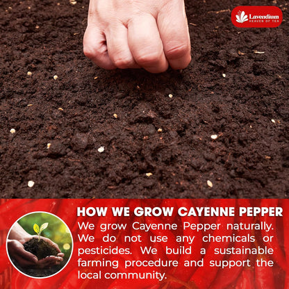 Premium Cayenne Pepper Powder– Pure Ground Red Pepper, Bold and Spicy Flavor by FreshDrinkUS - Natural and Premium Herbal Tea