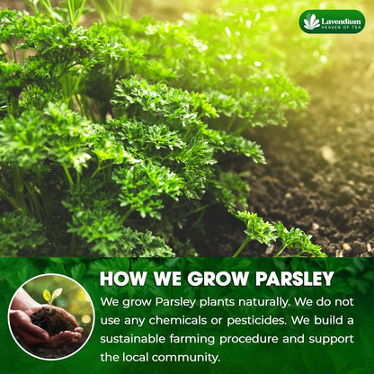 Premium Dried Parsley Leaves – 100% Pure, Non-GMO, Gluten-Free, Vegan – Aromatic Culinary Herb for Cooking, Garnish, and Seasoning by FreshDrinkUS - Natural and Premium Herbal Tea