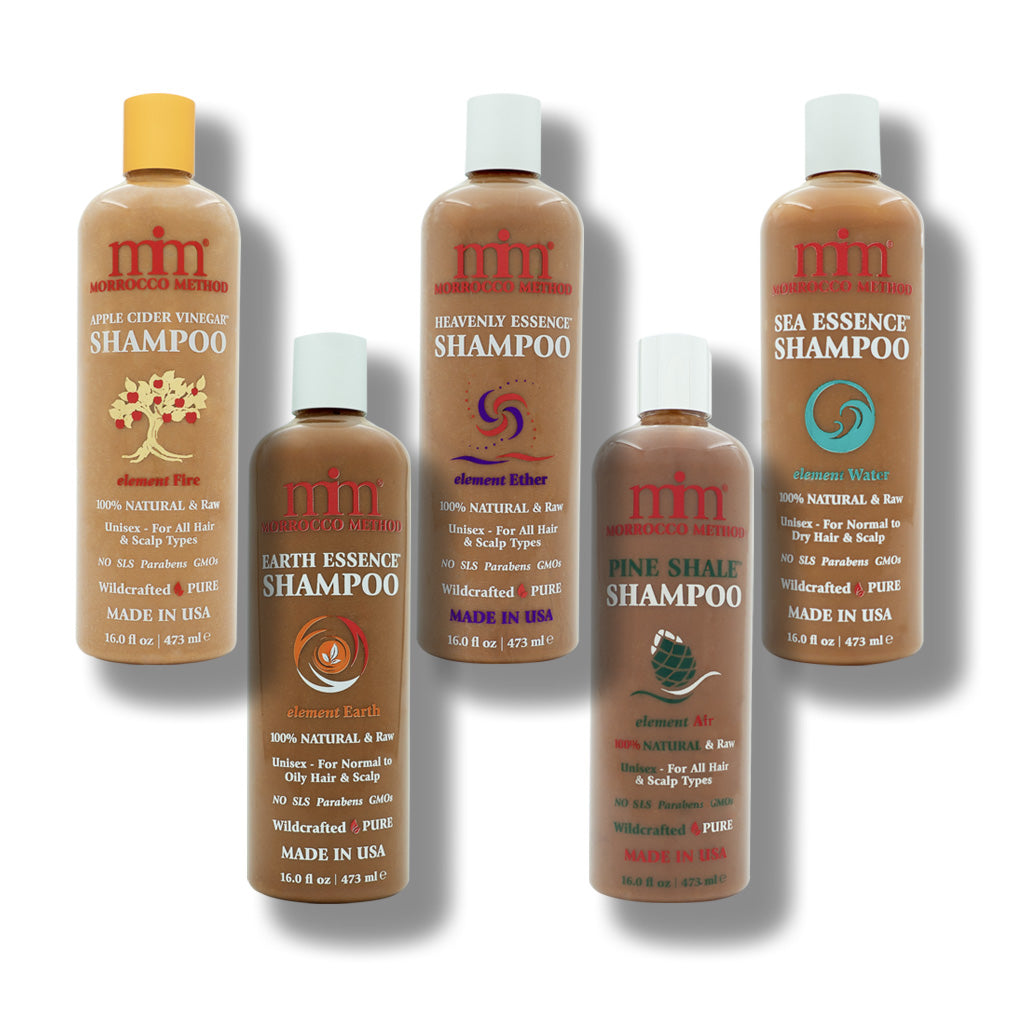 5 Elements Shampoo Set by Morrocco Method International