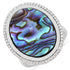 13.64 Carat Genuine Abalone and White Diamond .925 Sterling Silver Ring by Bids.com