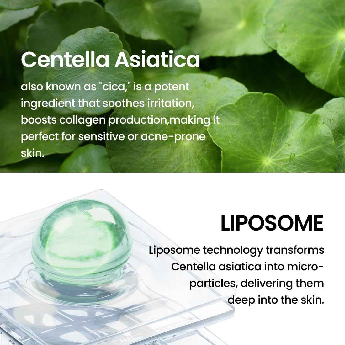 Liposome Daily Cleansing Oil, Gentle Makeup &amp; Blackhead Remover for Sensitive Skin with Centella Asiatica TECA, Korean Skincare for Trouble Care (6.76 Fl. Oz., 200Ml)