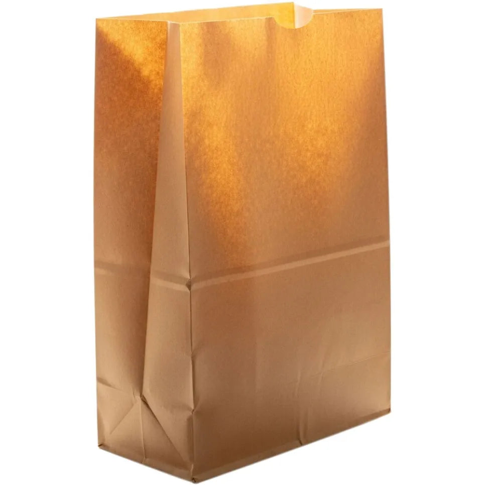 Leader Paper Flat Botton Sack 12x7x17In.500 Ct by Pasteur Pharmacy
