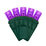 LED Mini Lights 5MM Purple Static Green Wire 6" Spacing
