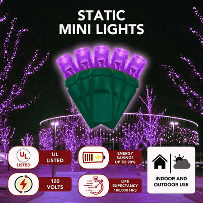 LED Mini Lights 5MM Purple Static Green Wire 6" Spacing
