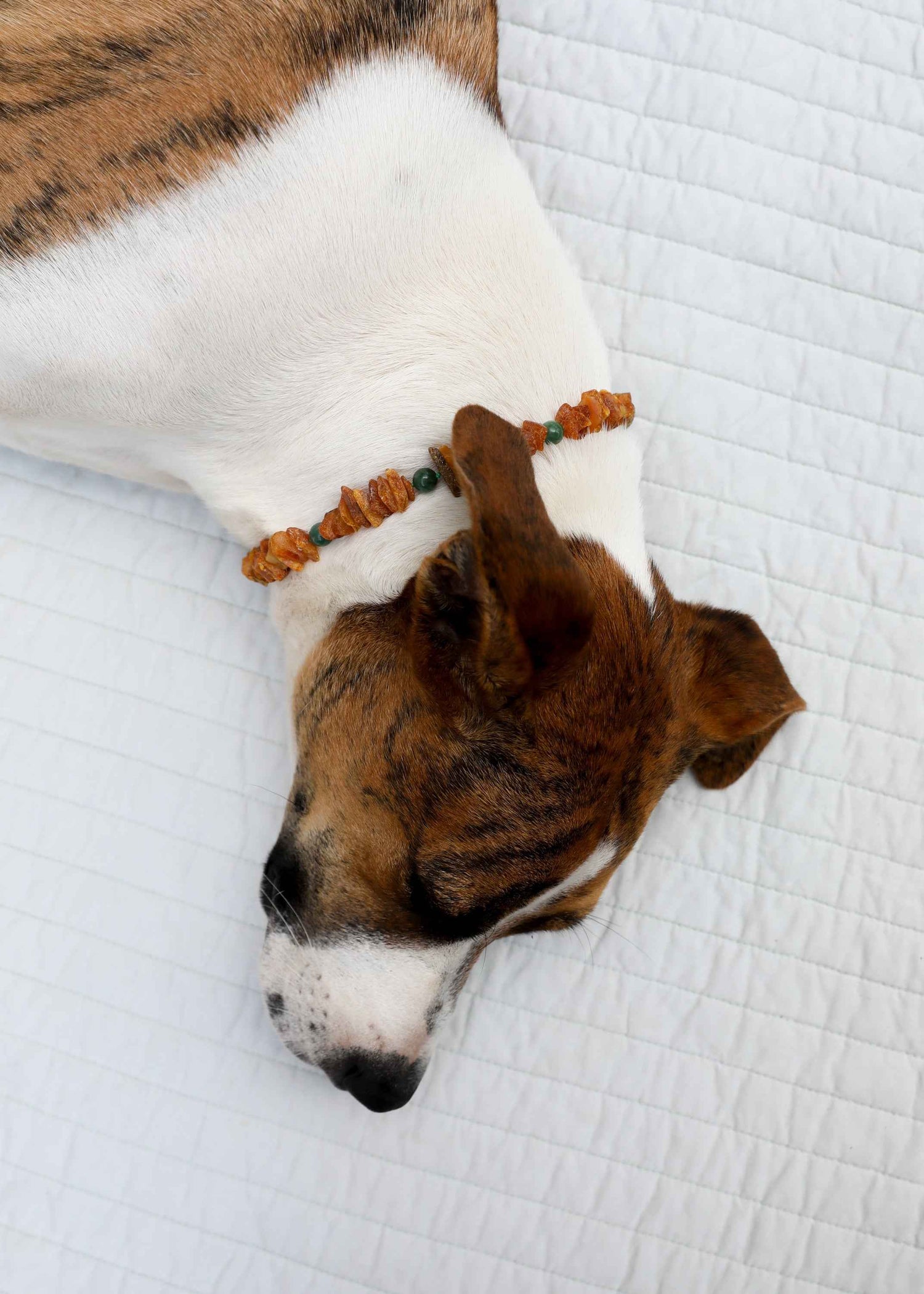Pet Necklace: Raw Baltic Amber + Natural Green Jade