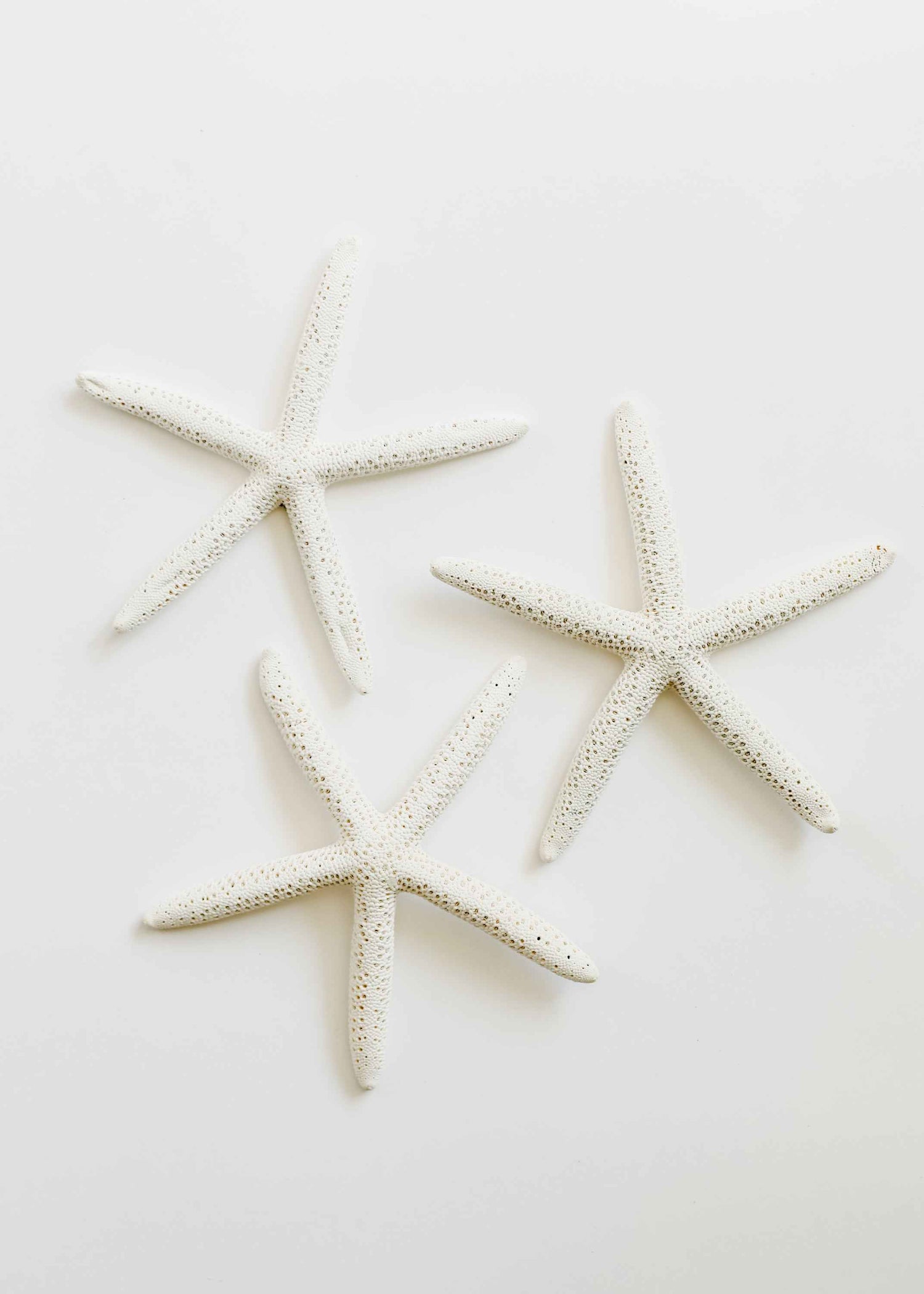 Starfish