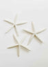 Starfish
