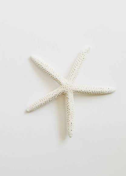 Starfish