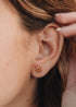 18K Gold Vermeil + Baltic Sea Amber || Sunshine Earrings by CanyonLeaf