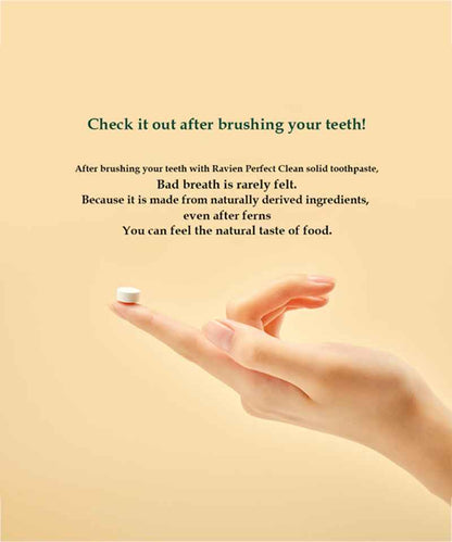 Lavien Perfect Clean Solid Toothpaste