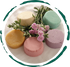 All-Natural Shampoo Bar. Plastic-Free