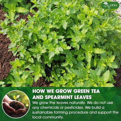 Premium Moroccan Mint Green Tea | Traditional Green Tea with Spearmint – Premium Quality Herbal Blend. by FreshDrinkUS - Natural and Premium Herbal Tea