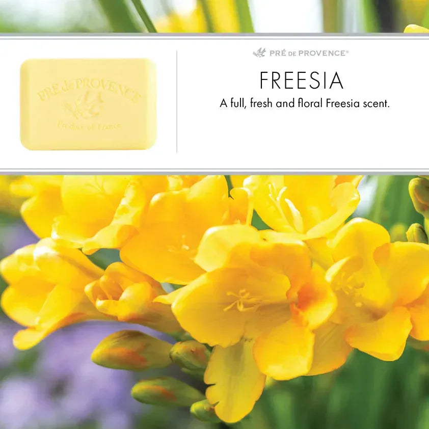 Pre De Provence Freesia Shea Butter Enriched Vegetable Soap 150g by Pasteur Pharmacy